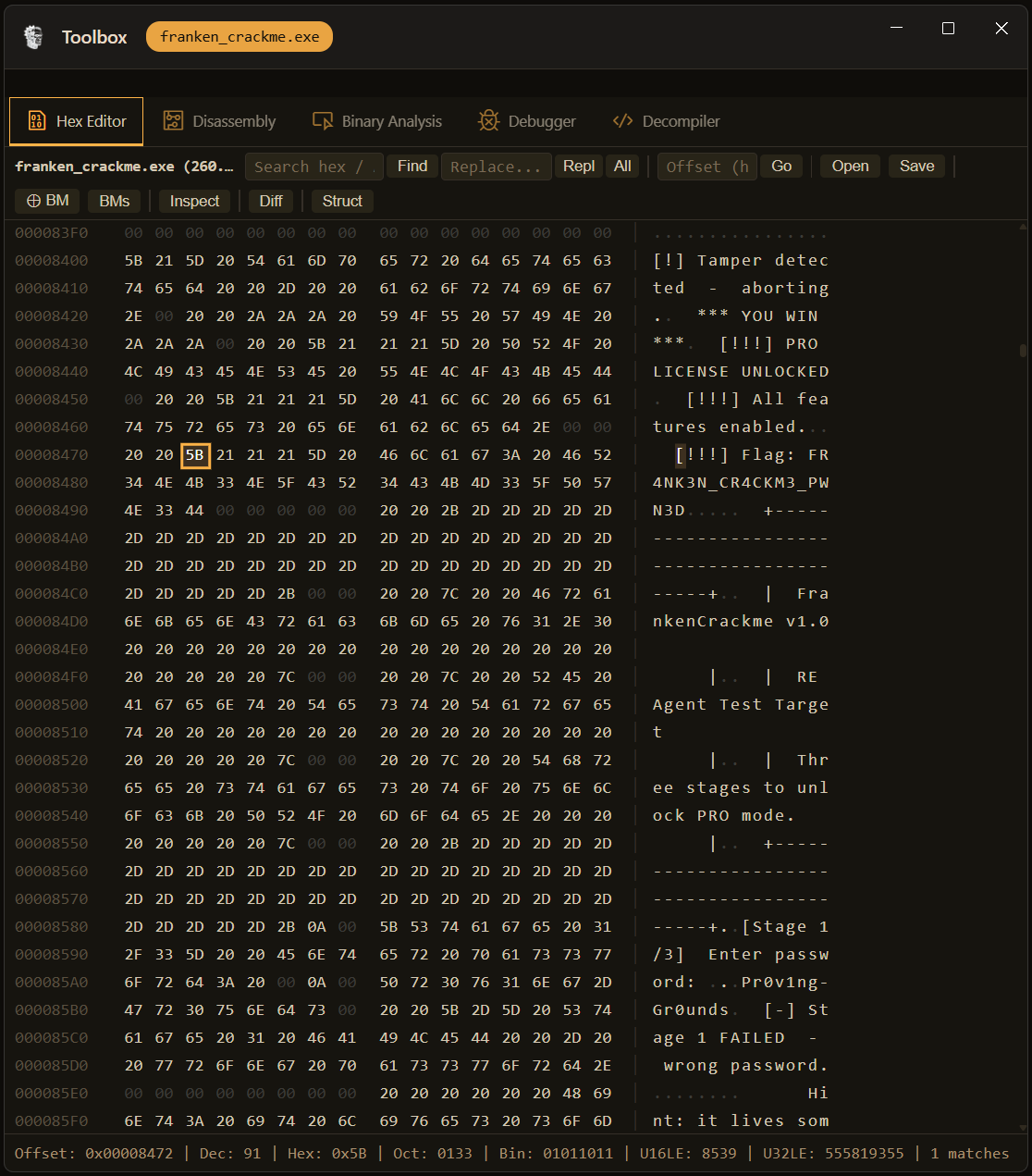 RE Agent hex editor view showing byte-level inspection with ASCII panel